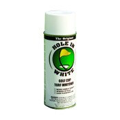 White Paint for Hole in White (12 c