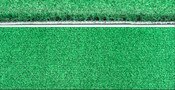 Wittek Quick Putt Carpet Green