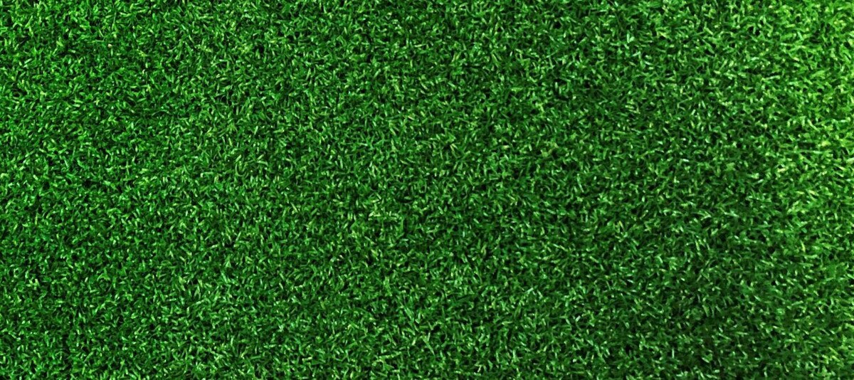 WITTEK EAGLE PUTTING CARPET