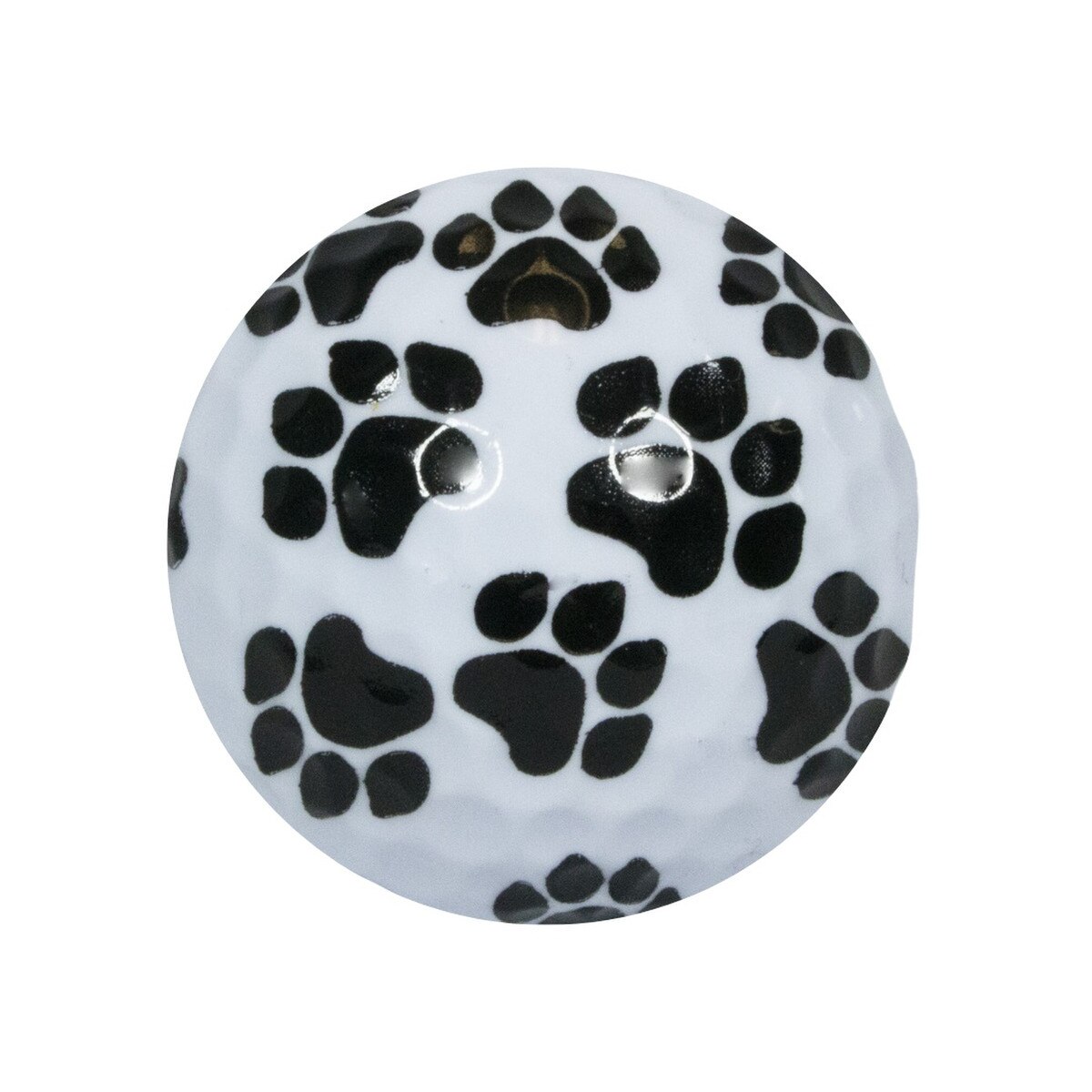 Paw Print