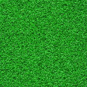 GREEN GRASS TEE OFF PAD
